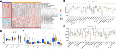 Identification and Quantification of Necroptosis Landscape on Therapy and Prognosis in Kidney Renal Clear Cell Carcinoma